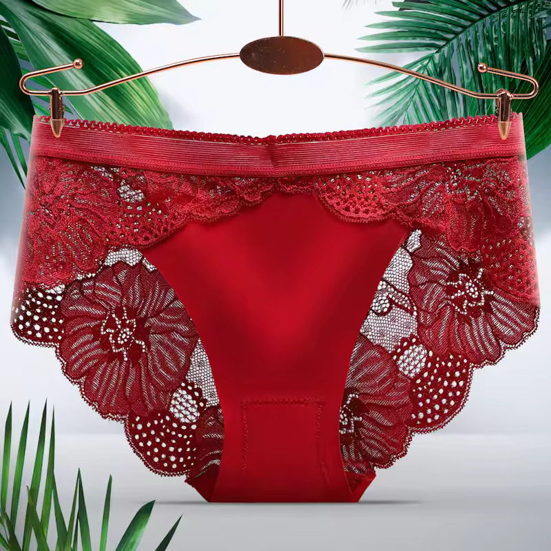 Sexy Briefs Seamless Lace Panties